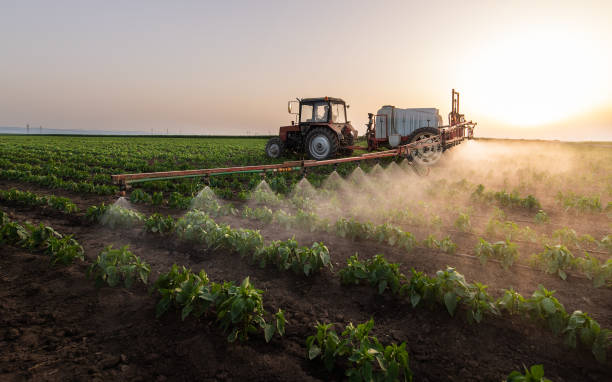 Best Pest Removal Services  in Hagerman, ID