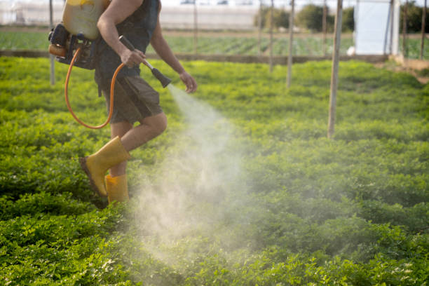 Best Wildlife Control Services  in Hagerman, ID