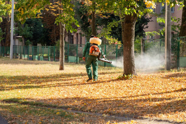 Best Flea Control Services  in Hagerman, ID