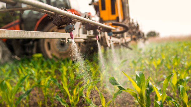 Best Ant Control Services  in Hagerman, ID